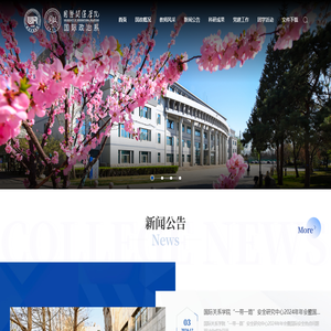 国际关系学院国际政治系